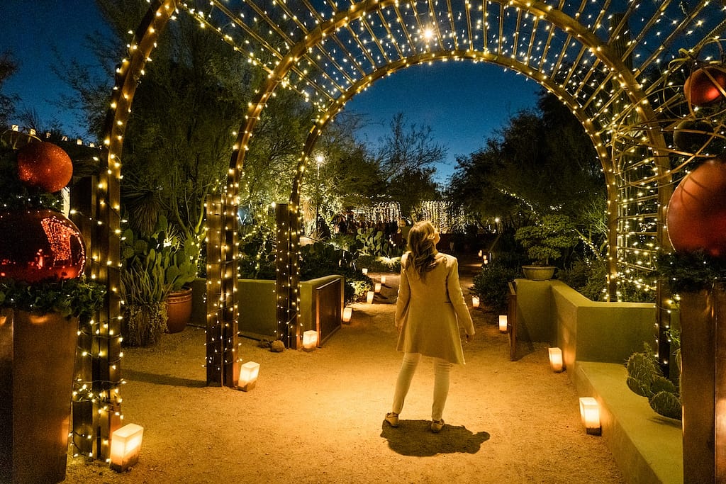 Phoenix Desert Botanical Garden glowing with luminarias during Christmas in Arizona 2025