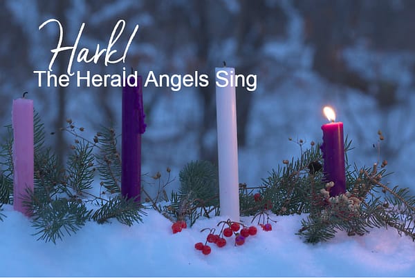 hark the herald angel sing