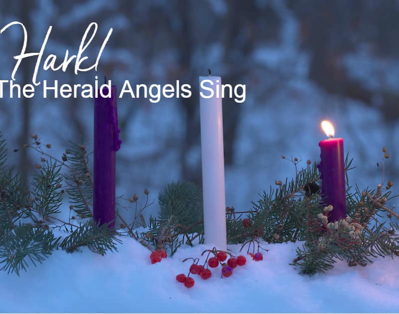 hark the herald angel sing