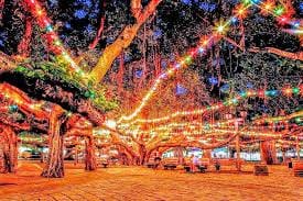 Lahaina Banyan Tree Christmas lights during Christmas in Hawaii 2025